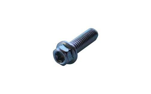Screw hex head Torx M8x25mm