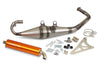 Exhaust Stage6 Pro Replica MK2 Orange Piaggio