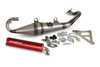 Exhaust Stage6 Pro Replica MK2 Red Peugeot horizontal LC
