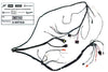 Wire Harness Piaggio Zip 2-stroke after 2009