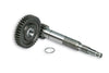 Primary Gears Malossi 16/37 Piaggio Zip