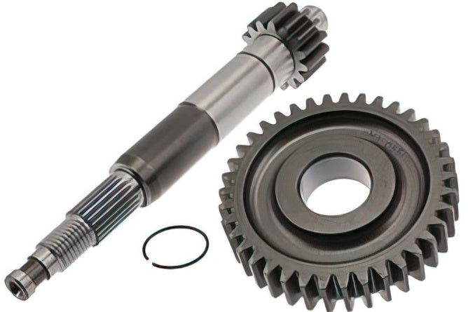 Primary Gears Malossi 14/39 Piaggio NRG after 1998