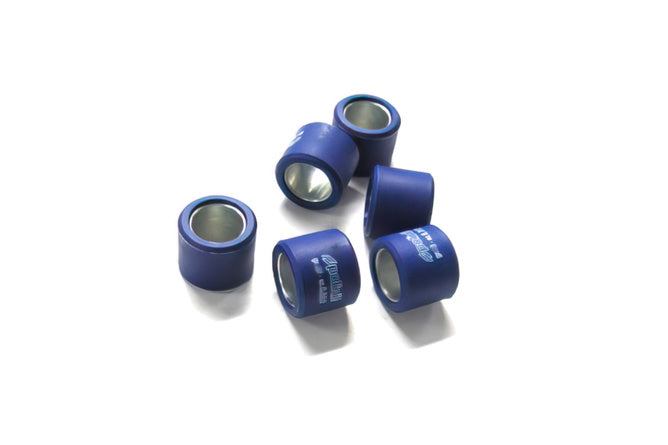 CVT Weights Polini (x6)