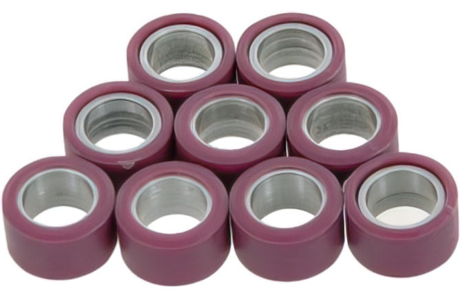 Variator Weights Polini (x9)