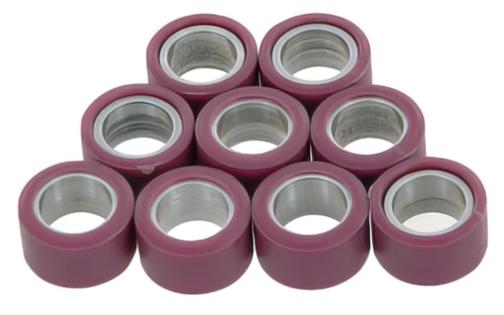 Variator Weights Polini (x9)