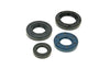 Oil Seal Kit PGO new