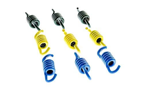Clutch Springs 3x3 Polini Speed Clutch 3G
