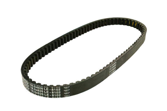 V-Belt Dayco Scarabeo / Liberty / TPH after 2011