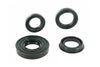 Crankshaft + Transmission Seal Kit Minarelli