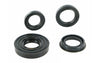 Crankshaft + Transmission Seal Kit Minarelli