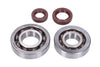 Crankshaft Bearings HD + Seals FKM Naraku Kymco / SYM horizontal