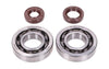 Crankshaft Bearings HD and Oil Seals FKM Naraku Honda X8R