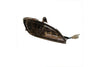 Indicator front right Sym Jet Euro X