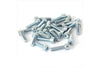 Hex Socket Screw M5x20 galvanized (x25)