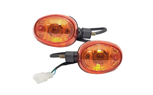 Indicator Set Baotian Carino (NT plug)