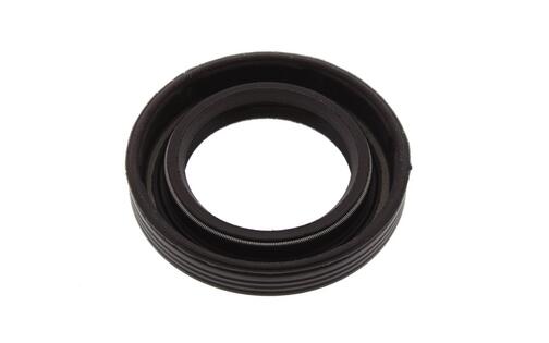Oil Seal Polini (crankshaft) P.R.E. 100cc Piaggio