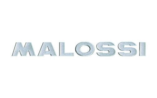 3D Sticker Malossi Silver 21cm