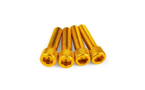 Intake Screw Set M6x25mm Alu Gold (x4)