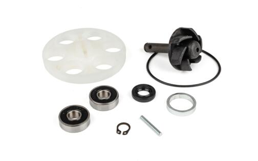 Water Pump Repair Kit Minarelli