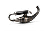 Exhaust for Malossi Testa Rossa FL100 Piaggio Zip SP