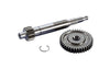 Primary Gears Polini 14/35 Piaggio Zip 4T Euro 4/5