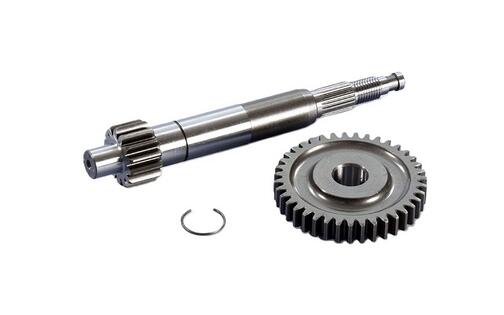 Primary Gears Polini 14/35 Piaggio Zip 4T Euro 4/5