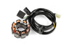 Ignition Polini For Race digital with light Minarelli