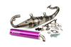 Exhaust Yasuni R-Pro Peugeot liegend / Morini Purple