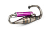 Exhaust Yasuni R-Pro Peugeot vertical Purple