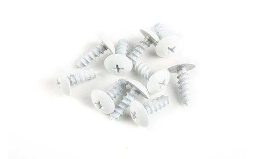 Fairing Screws M5x12 aluminium white (x 10)